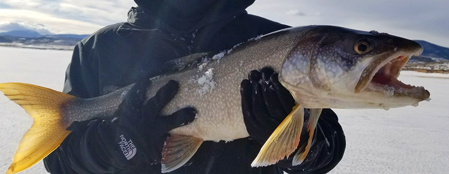 Breckenridge, Frisco & Dillon Ice Fishing on Lake Dillon, CO